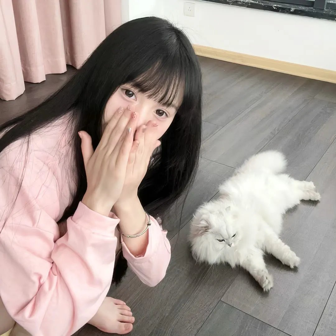 黑吃黑第二季
