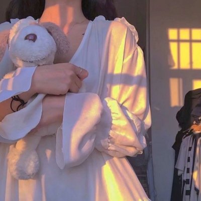 烟花女驼龙